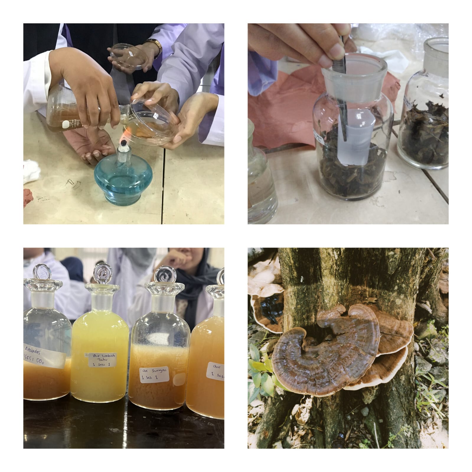 LABORATORIUM BIOLOGI TANAH DAN LINGKUNGAN