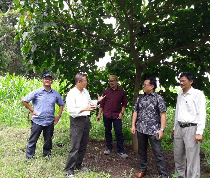 Program Studi Ilmu Tanah